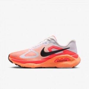 Nikee Air Zoom Structure Plus 739